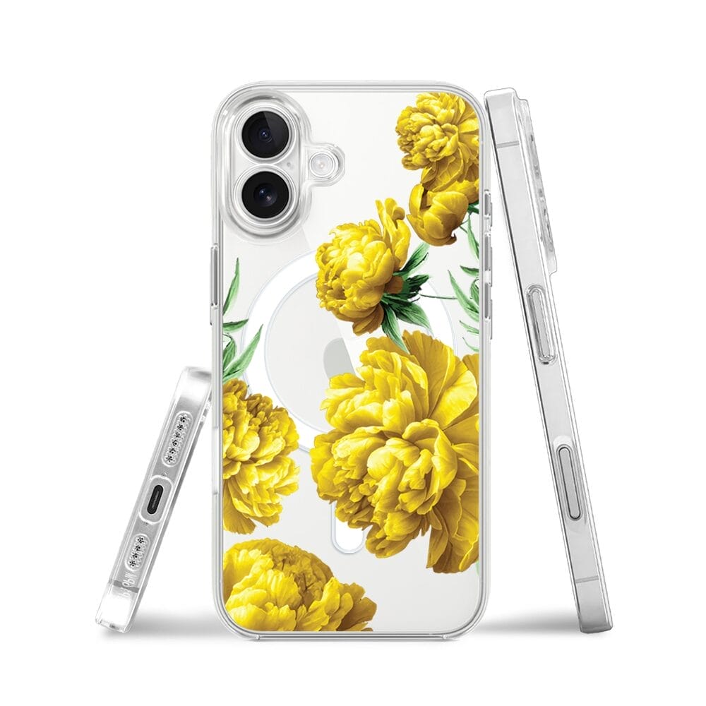 8dec77960276b1dae1e819a84ba6f2ef