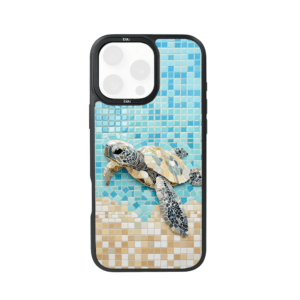 Żółw Caretta